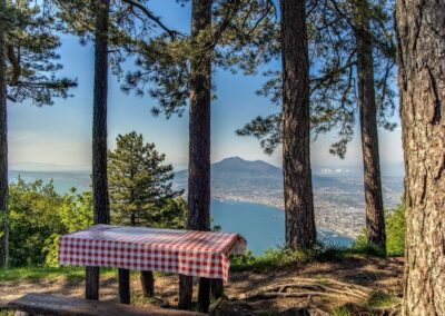 picnic area among the pines with views overlooking Naples Gulf